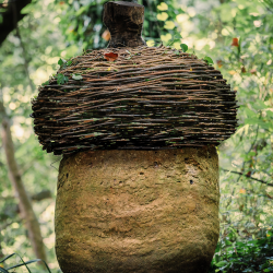 Acorn, 2012 - Susan Tondreau Dwyer